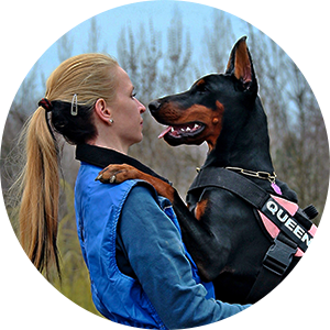 pourquoi-quand-ne-pas-sauter-chien