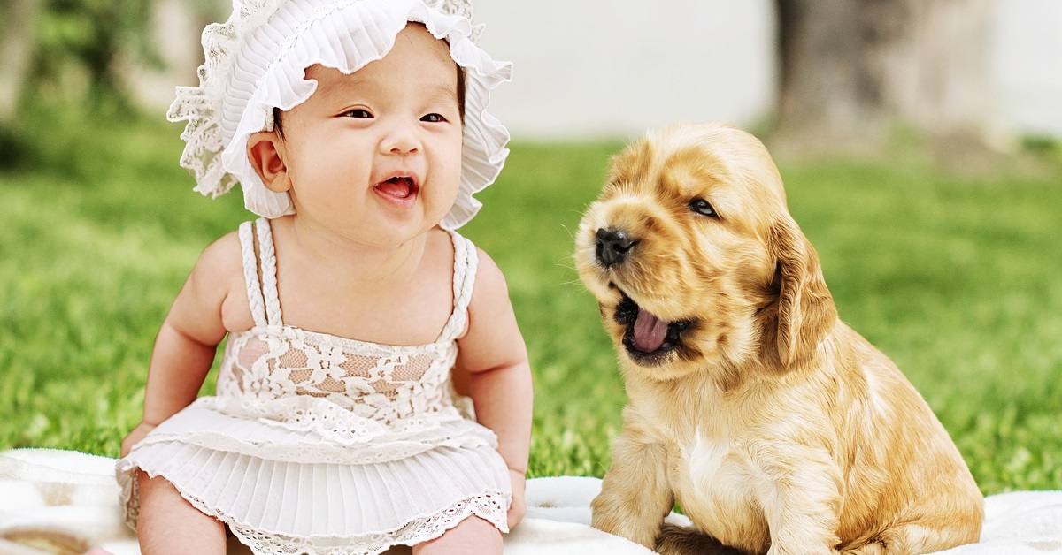 truffinade bébé2 - Les bons gestes avec son chien pendant et après la grossesse !