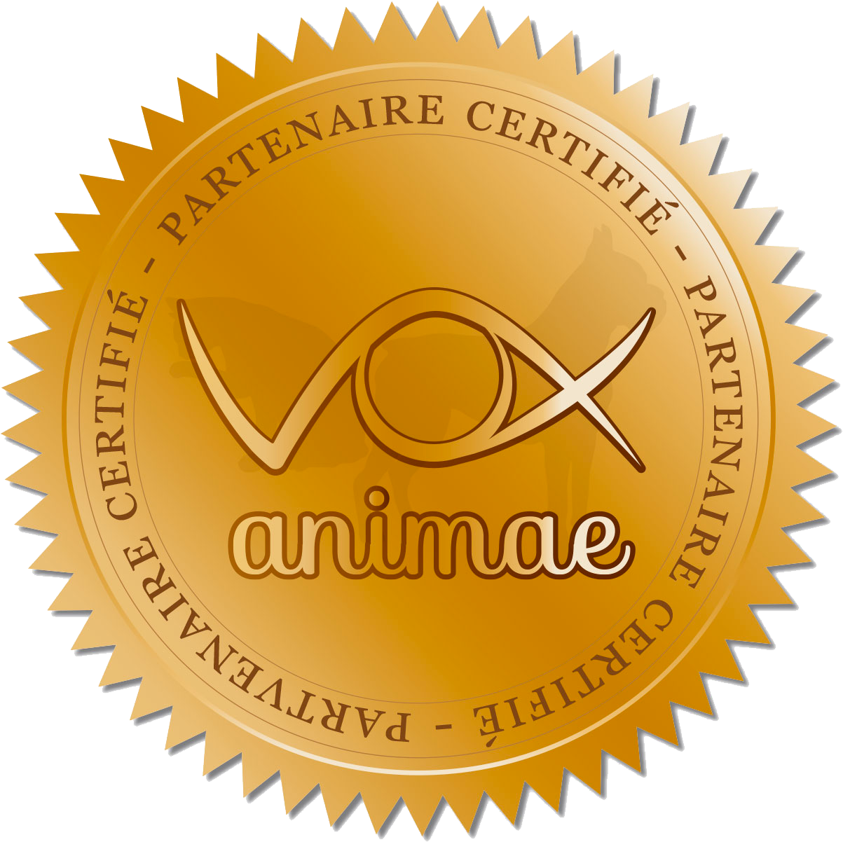 Badge partenaire reseau vox animae 02 - Coach en éducation canine positive et comportement canin