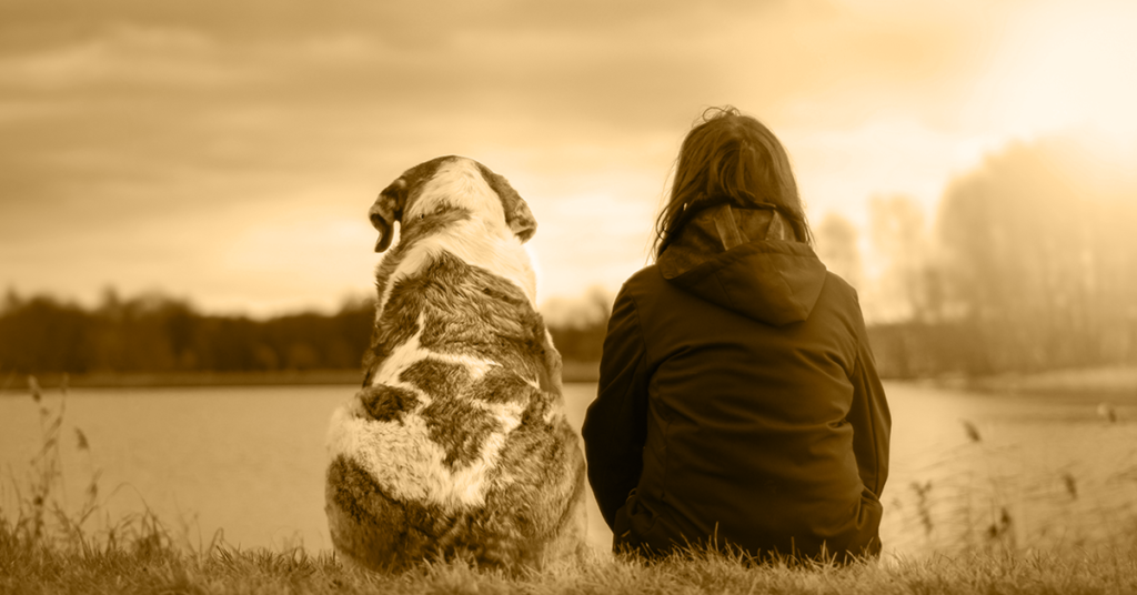 Truffinade-mon-chien-mon-ami-bordeaux