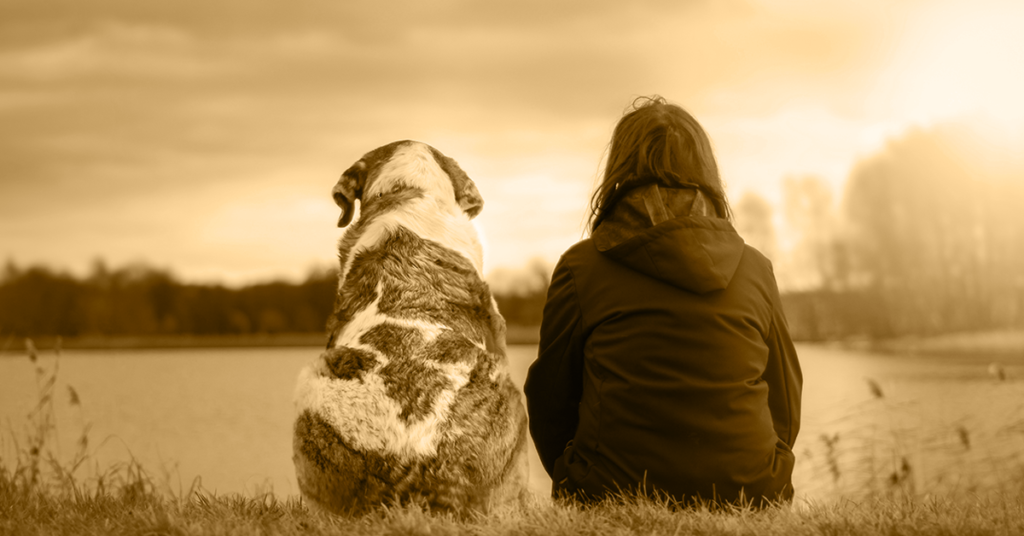 Truffinade image a la une mon chien mon ami 1 1024x536 - Actualités et conseils