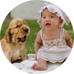 pourquoi-bebe-chien-grossesse-arrivee-conseils