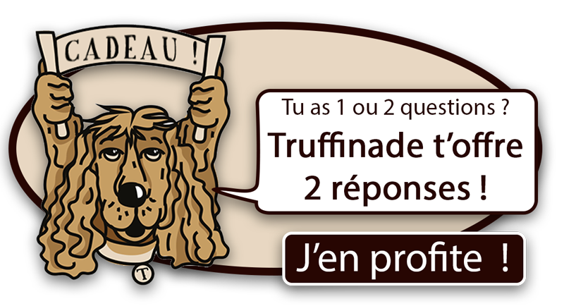 2 QUESTIONS 2 REPONSES 800 V3 - 2 questions, 2 réponses : c'est cadeau !