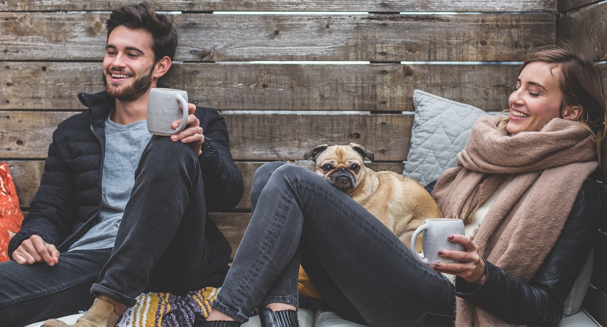 Des clefs pour aider au bien-être de votre chien