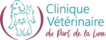 Logo Clinique Veterinaire Chartrons - Coach en éducation canine positive et comportement canin