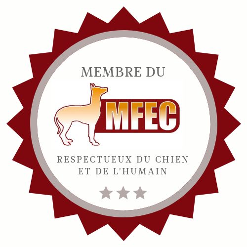 truffinade MFEC - Coach en éducation canine positive et comportement canin