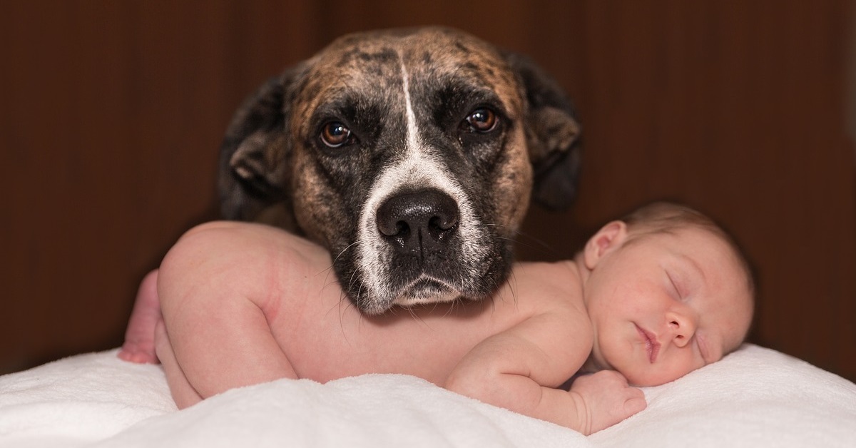 truffinade bébé - Bébé va arriver...