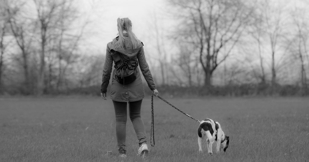 truffinade-accessoires-education-canine