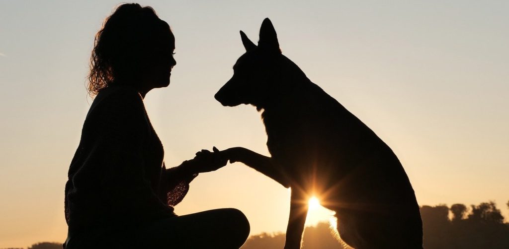 truffinade emotionnel cognitif 1024x502 - Actualités et conseils