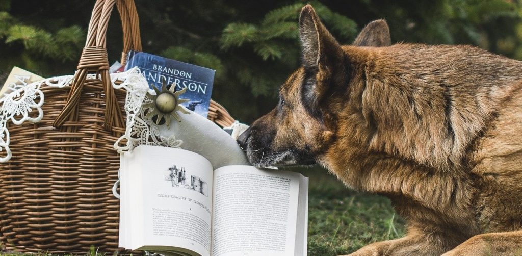 truffinade-age-education-eduquer-chien