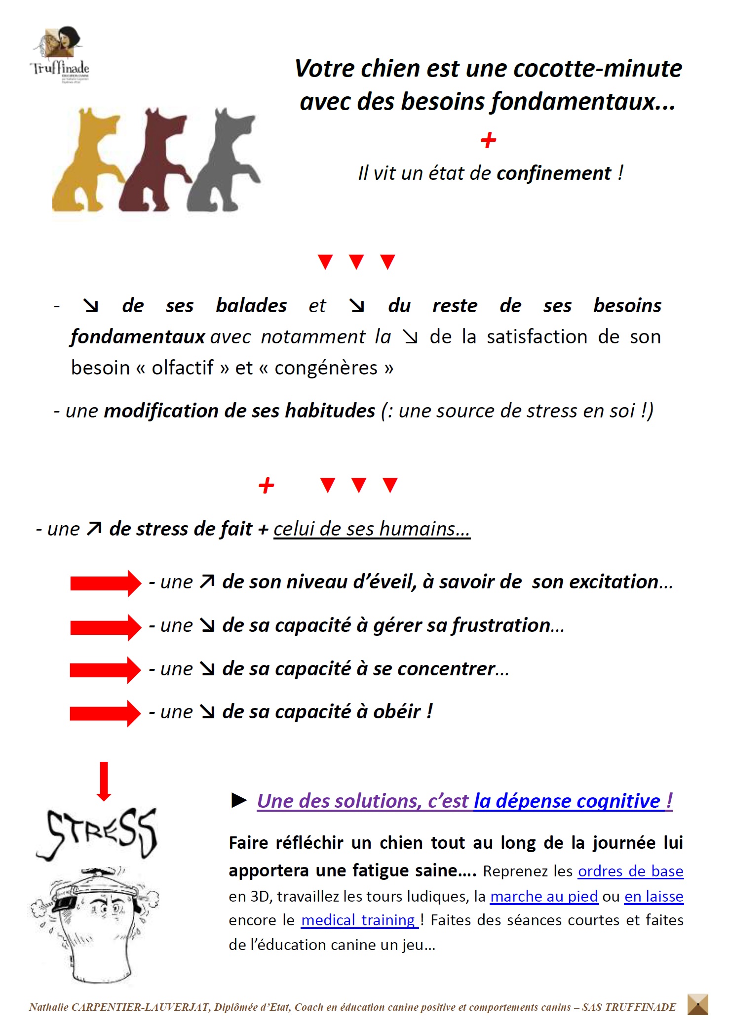 truffinade-education-chien