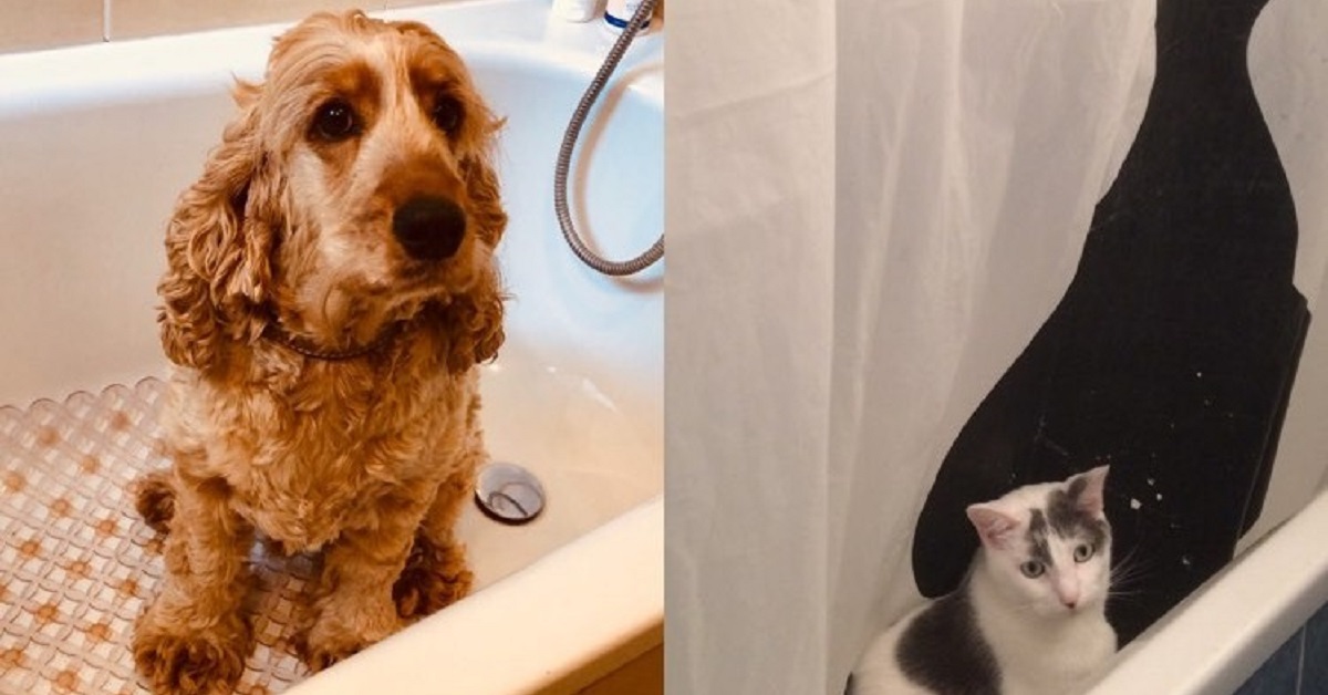 truffinade-lucky-plume-baignoire