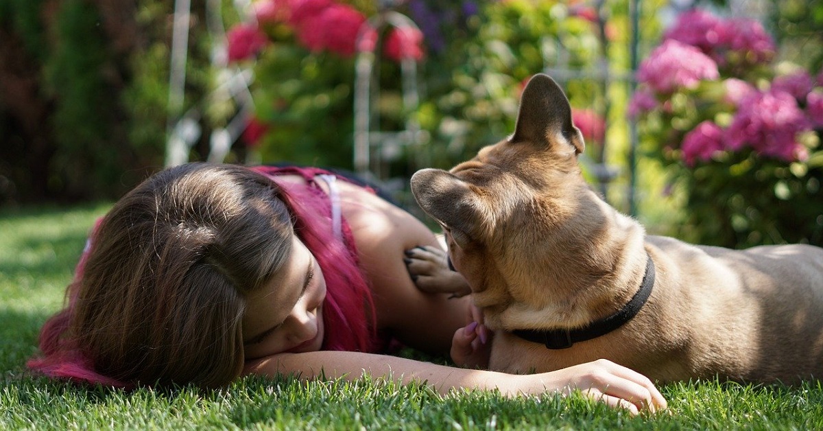 truffinade prenez soin de vie et de votre chien - Truffi-conseils-Covid-19-19 / Prenez soin de vous et de votre chien