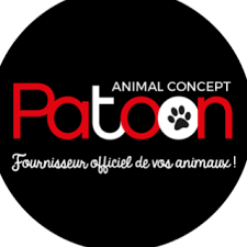 patoon - Coach en éducation canine positive et comportement canin