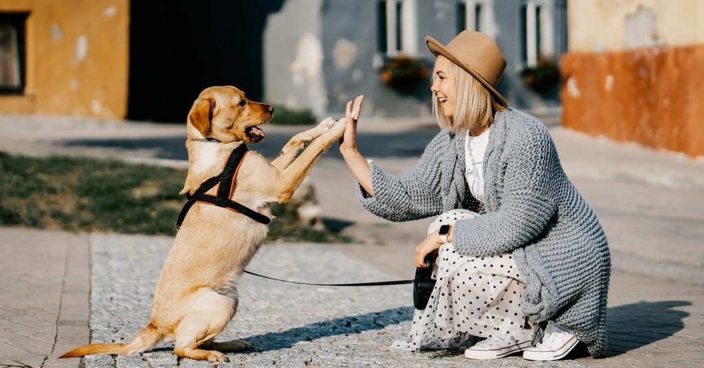 truffinade un chien qui sait tourner roule et faire le mort 1024x536 - Actualités et conseils