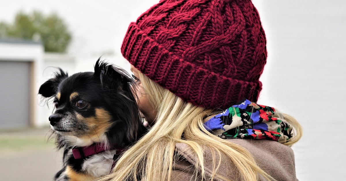 truffinade un chien a qui on parle tout le temps - Un chien à qui on parle tout le temps