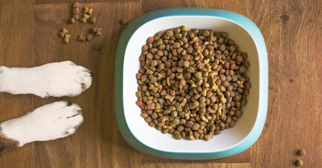 truffinade-un-chien-qui-fait-le-fou-pour-manger