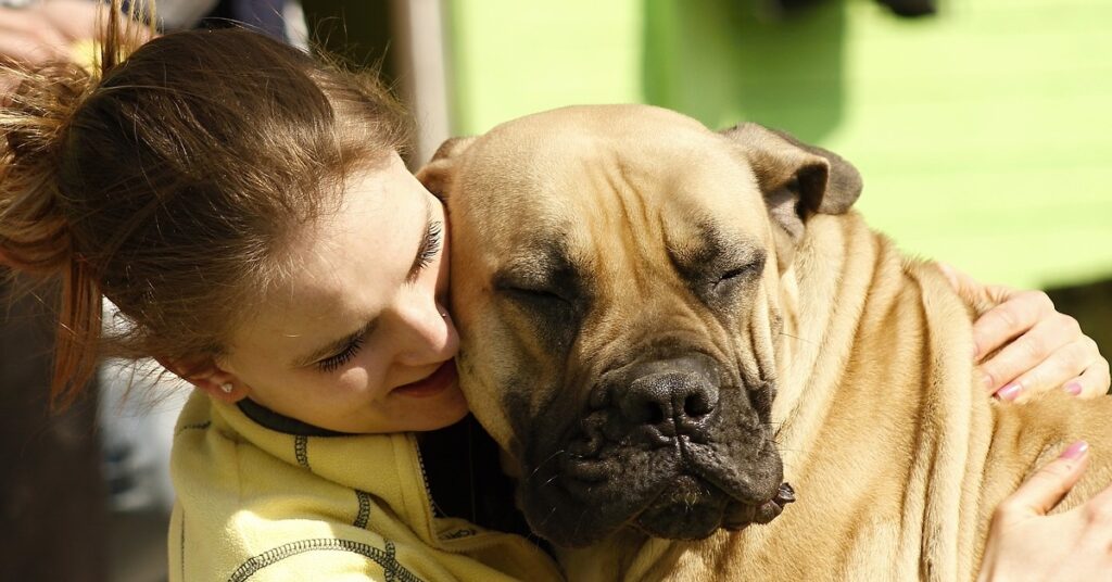 truffinade un chien qui a besoin de plus de coherence avec son humain 1024x536 - Actualités et conseils