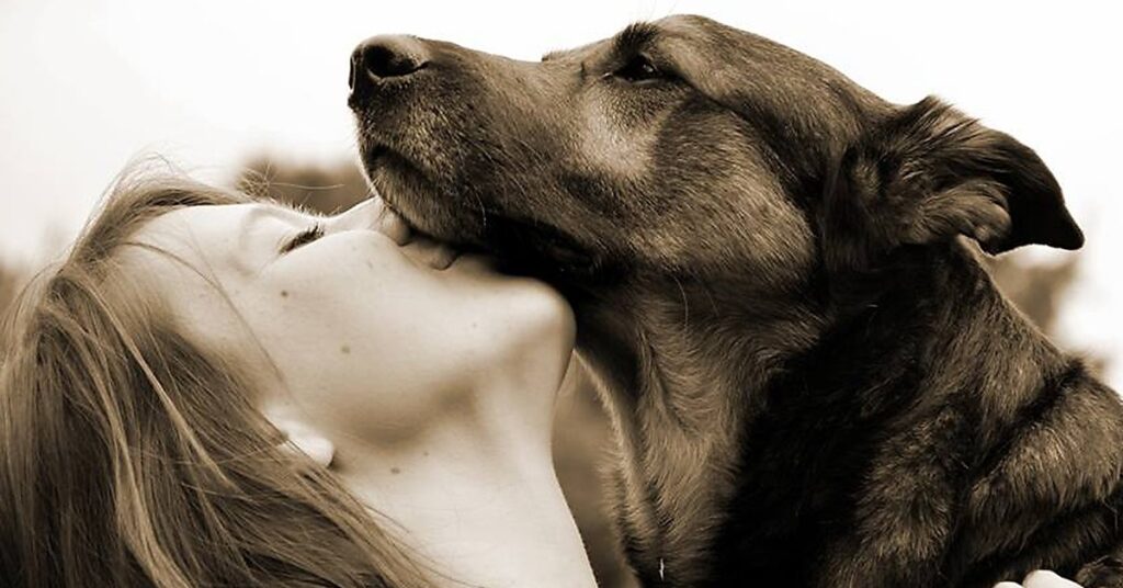truffinade-un-chien-qui-n-apprend-pas-vite