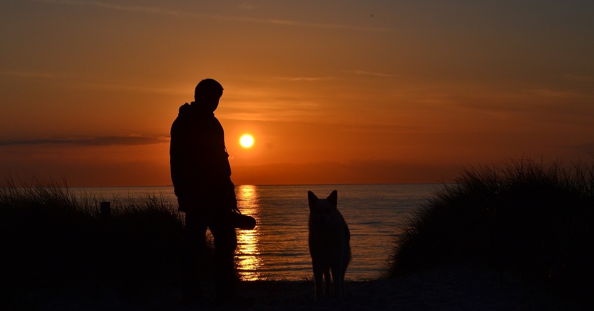 truffinade un chien pour qui son humain devient tres important - Un chien pour qui son humain devient très important