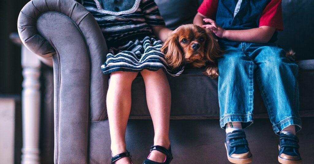 truffinade-un-chien-qui-vit-avec-un ou-plusieurs-enfants