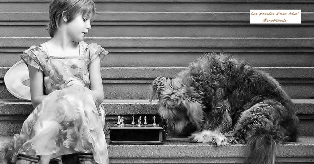 Apprendre à son chien doit être un jeu