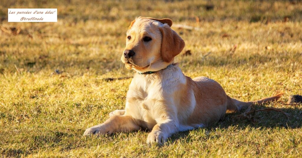 Quand l’éducation prend du temps