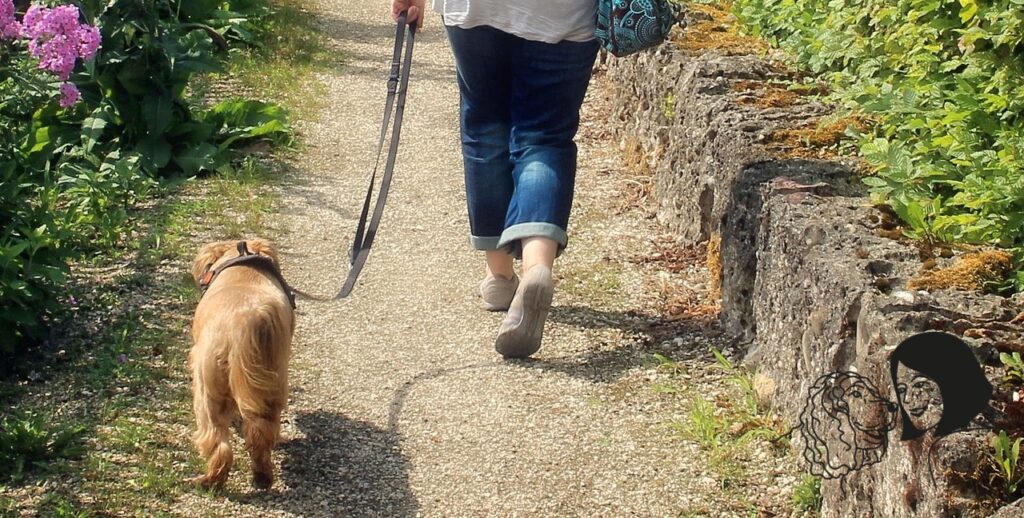 Pour que la balade avec votre chien devienne un moment de complicité